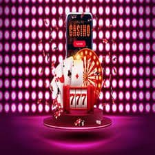 pk798 Live Casino